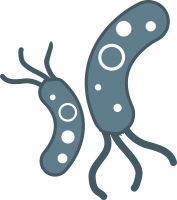 Bacteria PNG