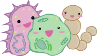 Bacteria PNG