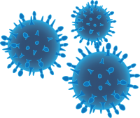 Bacteria PNG