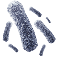 Bacteria PNG
