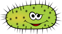 Bacteria PNG