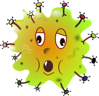 Bacteria PNG