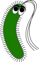 Bacteria PNG