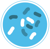 Bacteria PNG