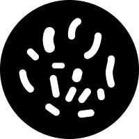 Bacteria PNG