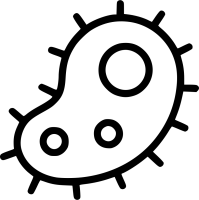 Bacteria PNG