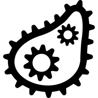 Bacteria PNG