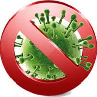 Bacteria PNG