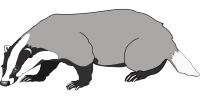 Badger PNG