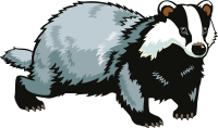 Badger PNG