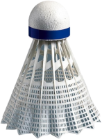 Badminton volant PNG image