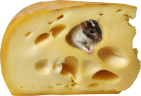 Cheese PNG