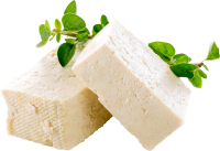 Cheese PNG