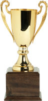 Golden cup PNG