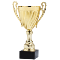 Golden cup PNG