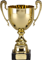 Golden cup PNG