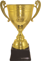 Golden cup PNG
