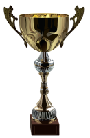 Award trophy cup