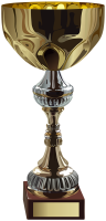 Award trophy cup