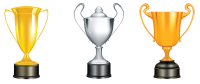 Award trophy cup