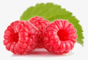 Raspberry – Raspberry Png- Ignite Png