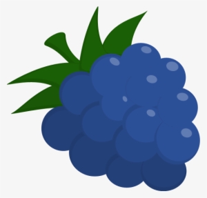 Blueraspberry Need A Website – Blue Raspberry- Ignite Png