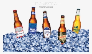 Ice Cubes- Ignite Png